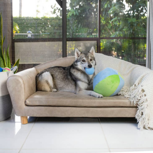 Hide-a-Ball Dog Toy - Image 6