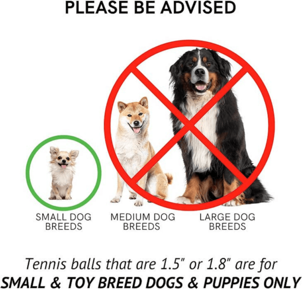 Mini Tennis Balls for Small Dogs - Pack of 12 - Image 2