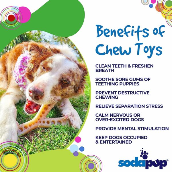 Mod Wishbone – Dog Chew Toy and Treat Dispenser - Image 2
