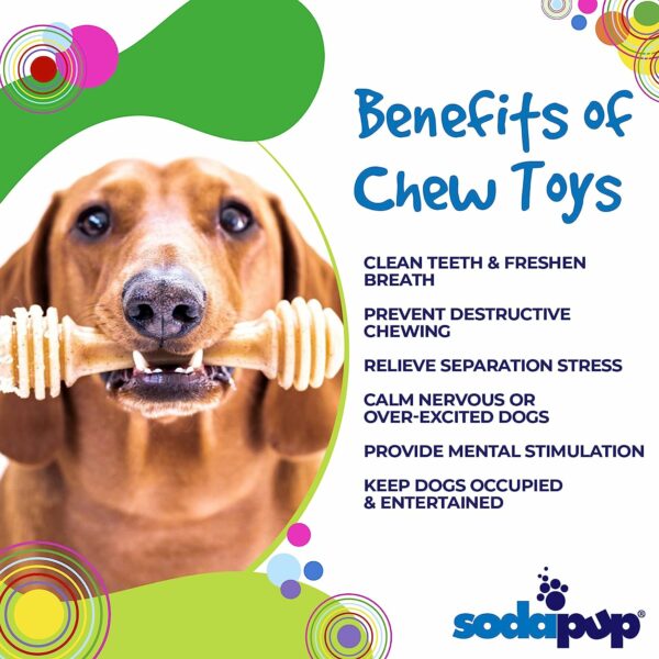 Honey Bone – Dog Chew Toy - Image 3