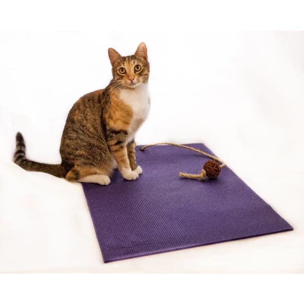 The Original Yoga Cat Mat Scratch Lounge Mat with Toy - Image 5