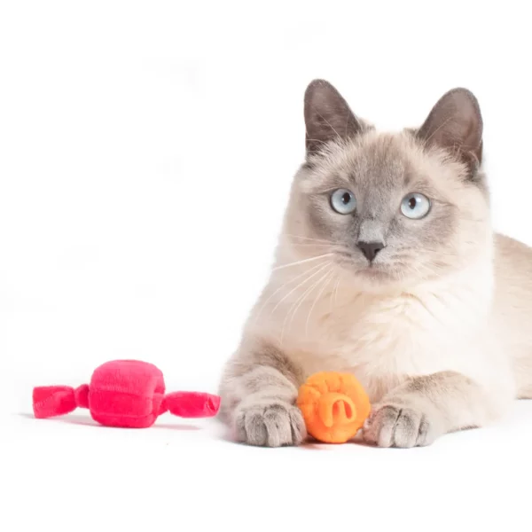 Taffy Rolls Cat Toy
